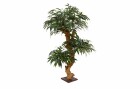 Botanic-Haus Kunstpflanze Bonsai Shirakashi, 80 cm 80 cm, Produkttyp