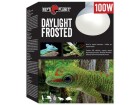 Repti Planet Terrarienlampe Daylight Frosted 100 W, Lampensockel: E27