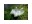 Image 5 dobar Vogeltränke Blatt-Paradies, 31 x 29.5 x 5.5 cm
