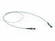 APC Schneider Actassi - Trunk cable - MTP-12 multi-mode (M