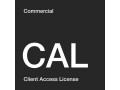 Microsoft Windows Server Standard User CAL Open Value