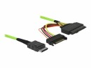 DeLock OCuLink-Kabel PCIe SFF-8611 zu U.2 SFF-8639, 0,5 m