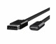 BELKIN USB3.1 Kabel, A - C, 1m