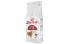 Royal Canin Trockenfutter Fit 32, 2 kg, Tierbedürfnis: Verdauung