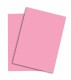 PAPYRUS   Rainbow Papier FSC          A4 - 88043135  160g, rosa           250 Blatt