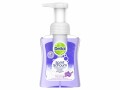 Dettol Schaum Seife Vanille Orchidee 250 ml, Zertifikate: Keine