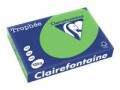 Clairefontaine Kopierpapier Trophée Colored Copy FSC A4, Grün, 120