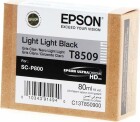 Epson Tinte - C13T850900 Light Light Black