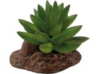 Repto Deco Plant Aloes, 10 cm, Produkttyp Terraristik