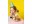 Bild 4 Partydeco Partyhüte gepunktet Mehrfarbig, 16 x 11 cm, 6