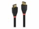 LINDY Aktives 30m HDMI 2.0 18G Kabel 