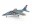 Image 0 Amewi Impeller Jet XFly Alpha 80 mm EDF Grau