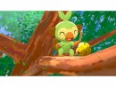 Nintendo Pokemon Schwert, Für Plattform: Switch, Genre: Rollenspiel