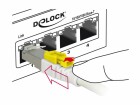 DeLock Secure - Patch cable - RJ-45 (M) to