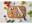 Bild 3 Tefal Fleischmesser Jamie Oliver 20 cm, Schwarz, Typ