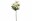 Bild 0 Botanic-Haus Kunstblume Edelweiss, 22 cm, 3er Set, Produkttyp