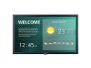 LG Electronics LG Public Display 22SM3G, Bildschirmdiagonale: 22 "