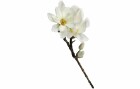 CHALET Kunstblume Magnolia Spray Chayca S 26 cm, Produkttyp