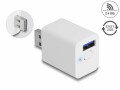 DeLock WLAN EASY-USB Smart Schalter MQTT, Detailfarbe: Weiss