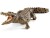 Bild 1 Schleich Spielzeugfigur Wild Life Krokodil, Themenbereich: Wild