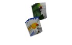ABC Motivkarte Blumen A6, 6 Stück, Papierformat: A6