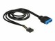 Image 2 DeLock DeLOCK - Internes USB-Kabel - 19-polige