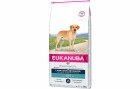 Eukanuba Trockenfutter Labrador Retriever Huhn, 12 kg