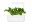 Image 0 Click and Grow Saatgut Wasabi-Senf 3er-Pack, Bio: Nein, Aussaatzeit