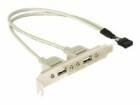 DeLock - USB panel - 10 pin USB header (M) to USB (F) - 30 cm