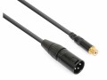 PD Connex CX134 XLR 3 Pole, male - Cinch 0.15