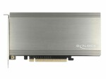 DeLock Host Bus Adapter 2x NVME M.2 SSDs