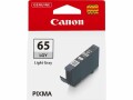 Canon Tinte CLI-65LGY / 4215C001 Light Grey, Druckleistung