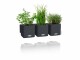 Lechuza Blumentopf Green Wall Home Kit CO