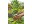 Image 3 Gardena Gartenschere VeggieCut, Schnittbreite: 84 mm, Scherentyp