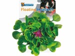 SuperFish Pond Deco Hyacinthe, Produktart: Dekoration