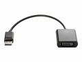 HP Inc. HP DisplayPort to DVI-D Adapter - Display-Adapter