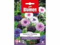 Blumen Saatgut Kornblume Mix, Bio: Nein, Blütenfarbe: Mehrfarbig