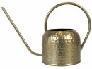 CHALET Giesskanne Kody 21 cm, Gold, Volumen: 2 l