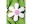 Image 1 Paderno Guetzli-Ausstecher Blume, Detailfarbe: Silber, Materialtyp