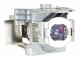 ViewSonic RLC-092 - Projektorlampe - 190 Watt - für