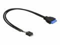 DeLock USB Kabel intern 60cm, USB3-Buchse zu USB2