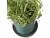 Bild 2 Bitz Pflanzengefäss Grün, Durchmesser: 10 cm, Detailfarbe