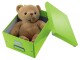 Leitz Aufbewahrungsbox Click & Store