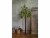Bild 1 Star Trading Dekorationsbaum Olivec, 178 LEDs, 180 cm, Grün
