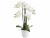 Bild 0 Botanic-Haus Kunstblume Phalenopsis im Topf, 4 Rispen, Weiss