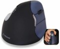 Evoluent VerticalMouse 4 Right Wireless - Souris verticale