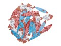 Rico Design Streudeko Fische 36 Stück, Blau/Rot/Weiss, Motiv: Fische