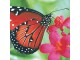Paper + Design Papierservietten Spring Butterfly 20 Stück, Material