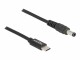 Immagine 5 DeLock Ladekabel USB-C zu 5.5 x 2.1 mm Stecker