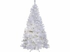 Star Trading Weihnachtsbaum Ottawa Weiss 260 LED, 210 cm, outdoor